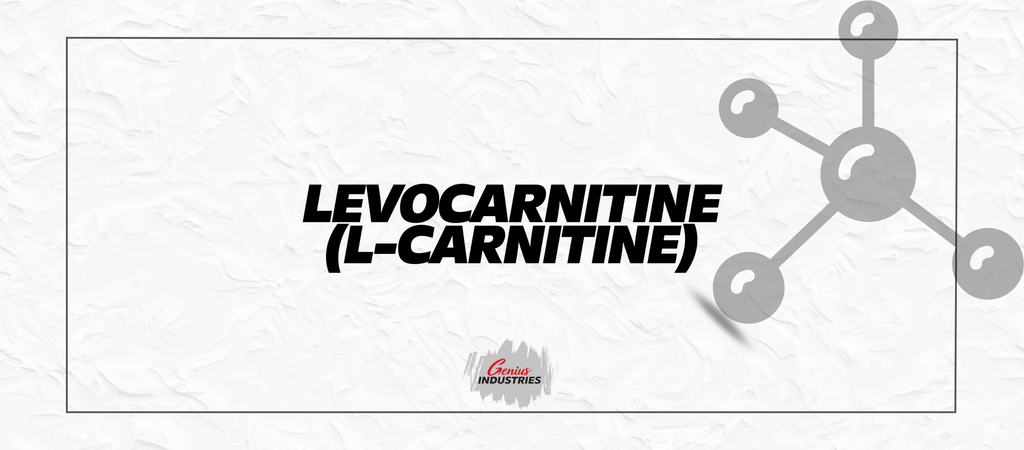 L-Carnitine (Levocarnitine)