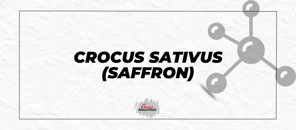 Crocus Sativus (Saffron)