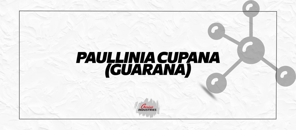 Paullinia Cupana (Guarana)