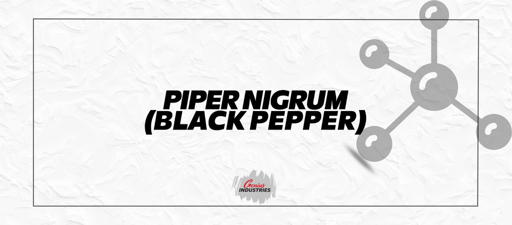 Black Pepper (Piper Nigrum)